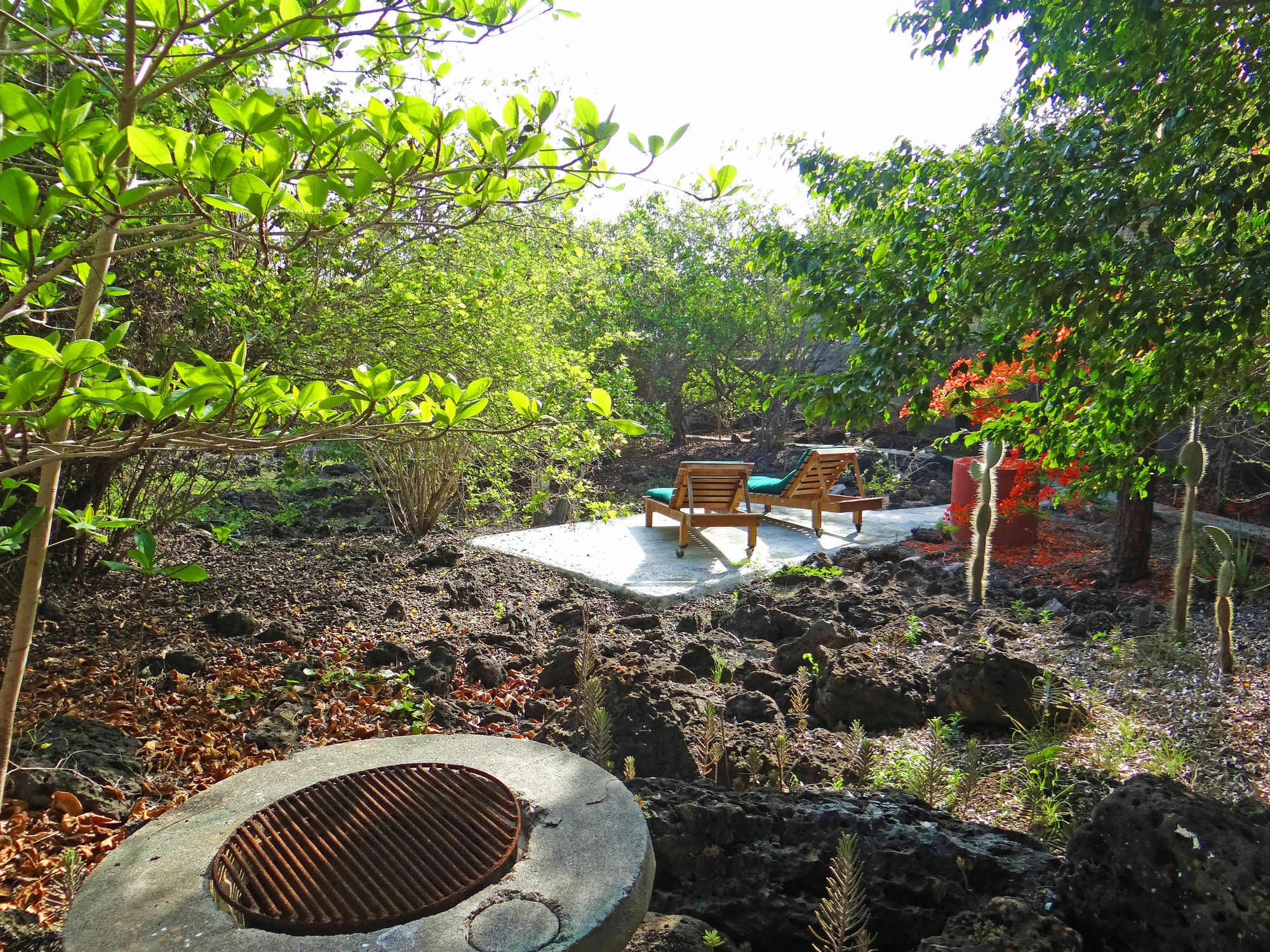 بويرتو أيورا Galapagos Chalet المظهر الخارجي الصورة