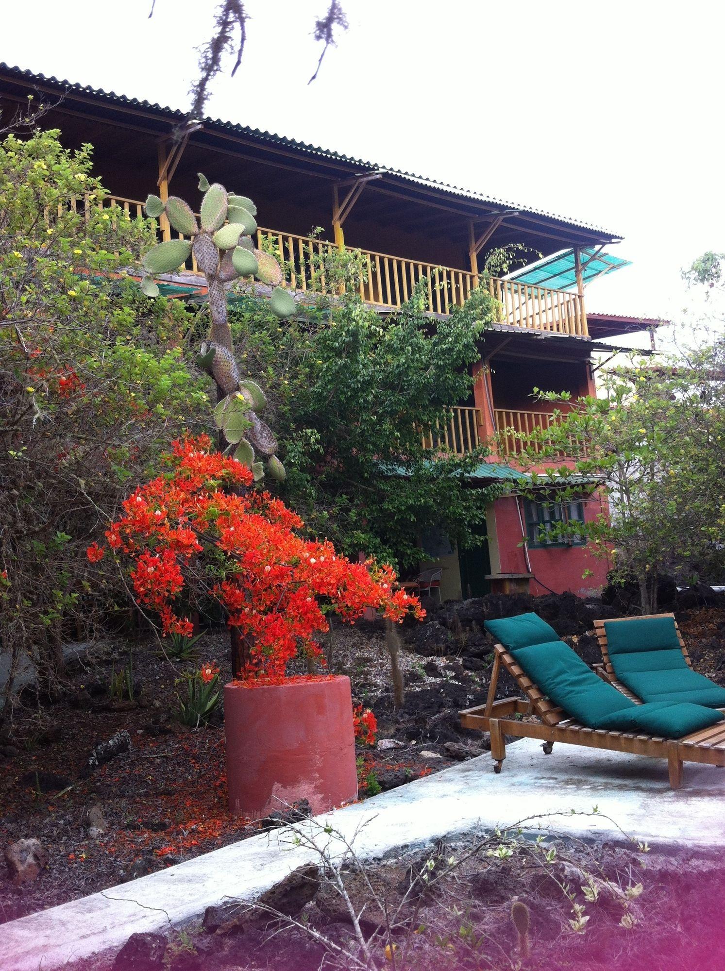 بويرتو أيورا Galapagos Chalet المظهر الخارجي الصورة